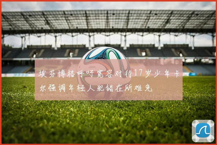 埃芬博格呼吁宽容对待17岁少年卡尔强调年轻人犯错在所难免